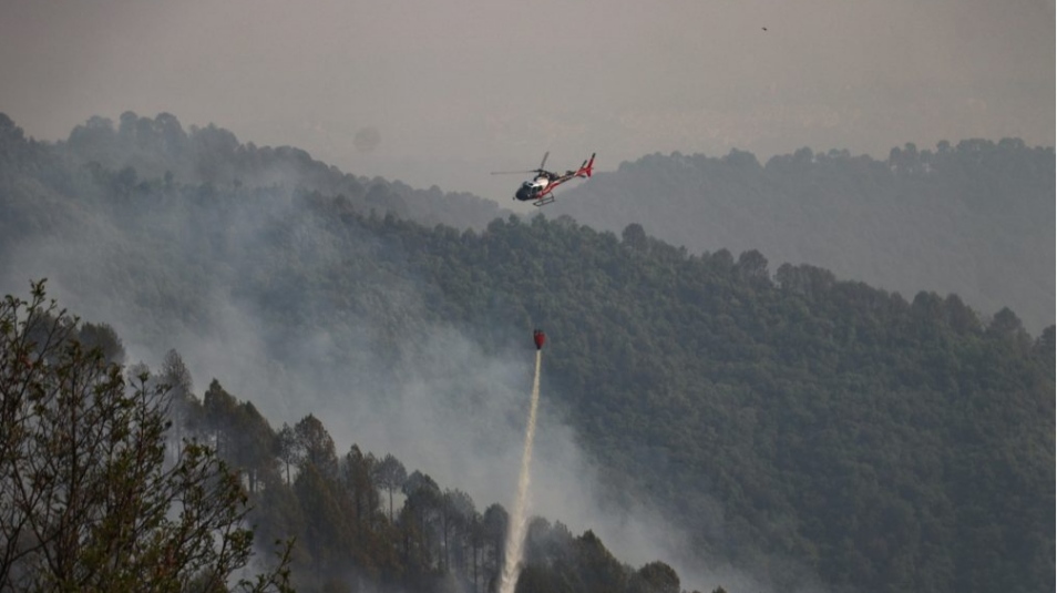 शिवपुरी राष्ट्रिय निकुन्जको डढेलो नियन्त्रणमा