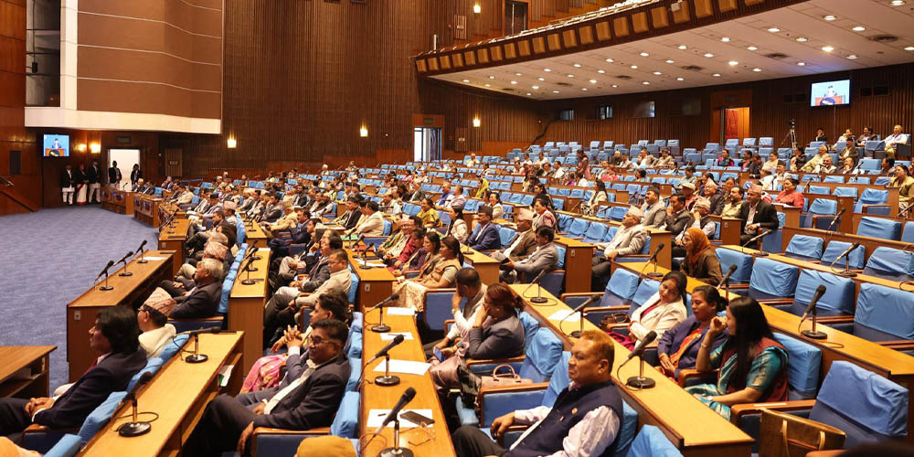 प्रतिनिधिसभाको बैठक: विद्युत् आपूर्तिमा देखिएको समस्या समाधान गर्न माग